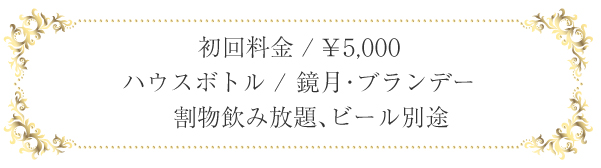 初回料金 / ¥5,000 ハウスボトル / 鏡月・ブランデー　割物飲み放題、ビール別途